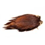 WAPSI DRY FLY ROSTER NECK - BROWN